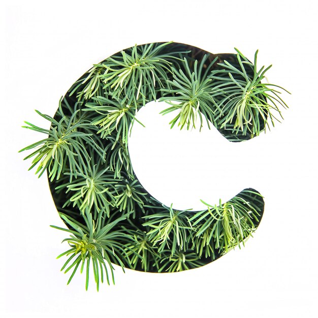 The letter C of the English alphabet from green grass