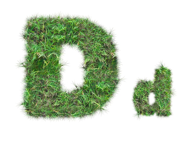 Photo letter d on green grass isolated