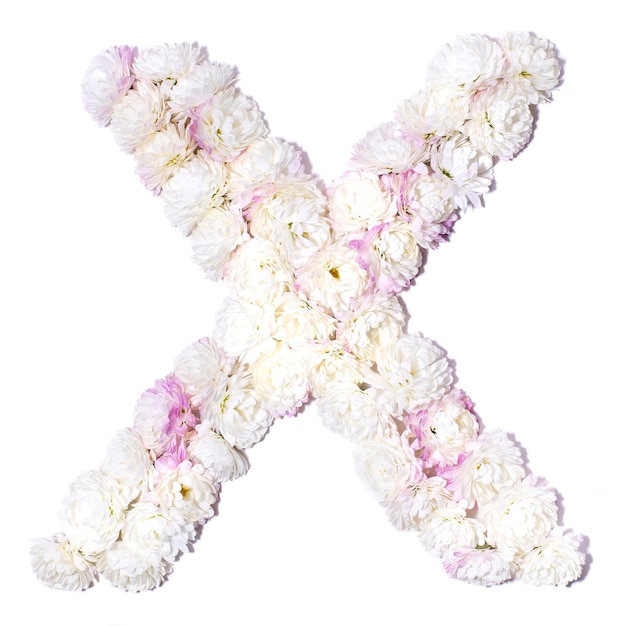 Photo letter of the english alphabet made of flowers