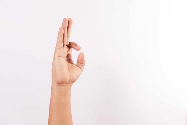 Letter F of the alphabet of sign language