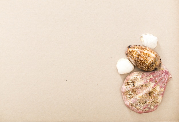 Letter from vacation background with copy space and sea shells