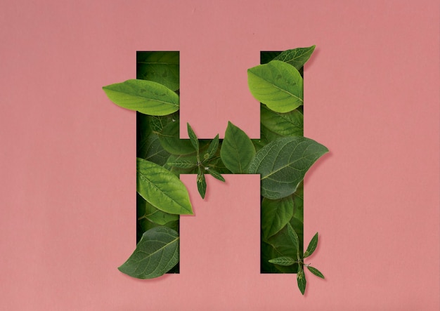 Letter H-vormknipsel met groene bladeren.