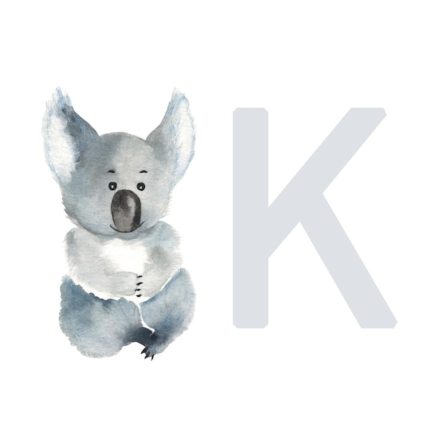 Letter K koala schattige kinderen dier ABC alfabet aquarel illustratie geïsoleerd op een witte achtergrond