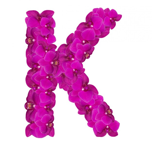 Letter K made of pink flower petals