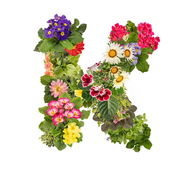 色々な花で作られたK文字