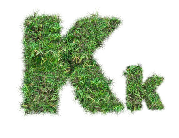 Letter K op groen gras geïsoleerd