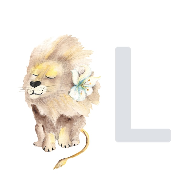 Letter L lion cute kids animal ABC alphabet Watercolor illustration isolated on white background