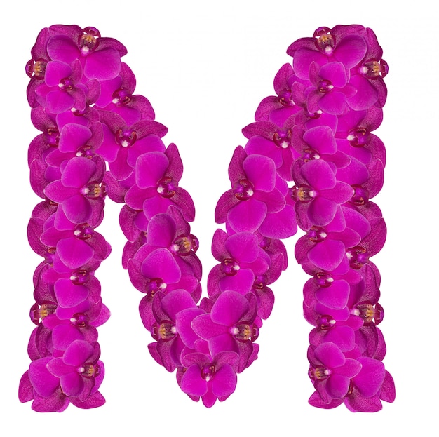 Letter M made of pink flower petals