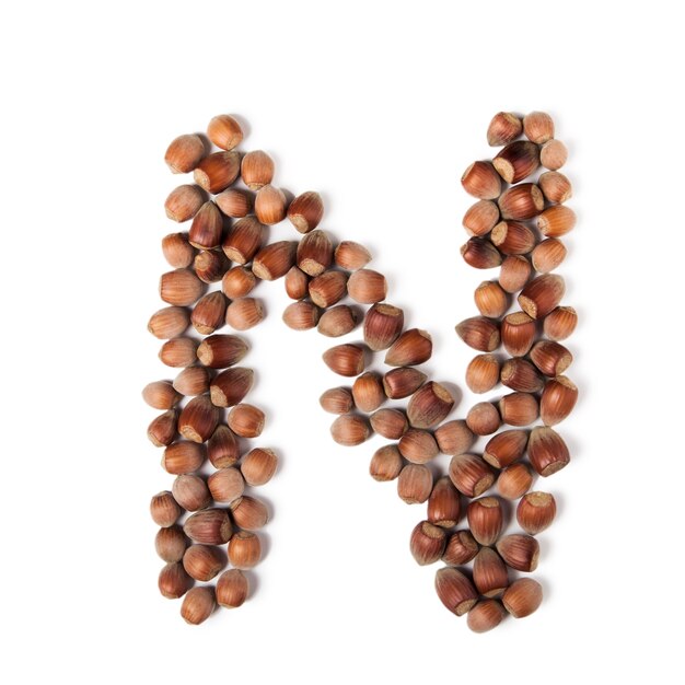 Letter N. Flatlay of whole unpeeled hazelnut.