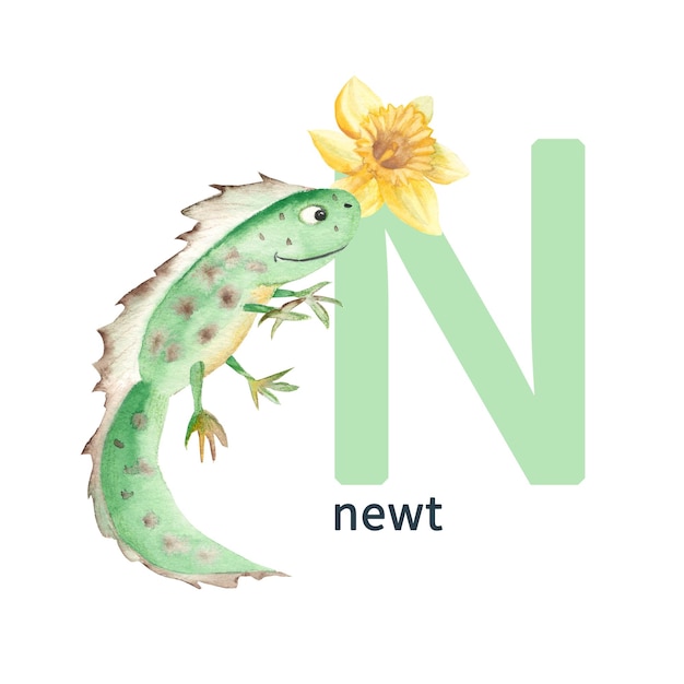 Letter N newt schattige kinderen kleurrijke dieren Abc alfabet aquarel illustratie i