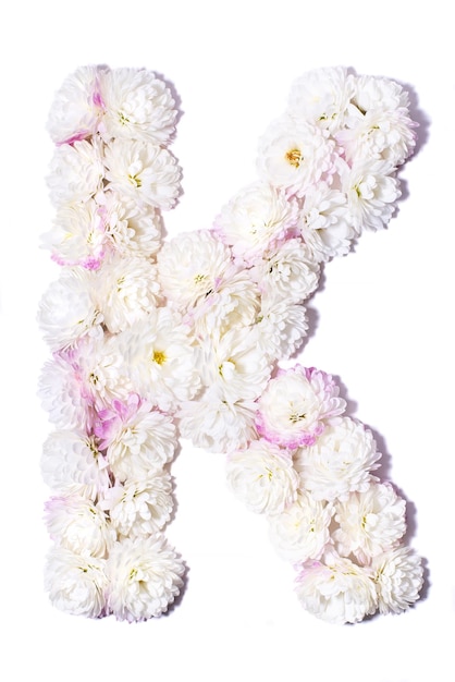 사진 꽃으로 만든 영어 알파벳의 문자