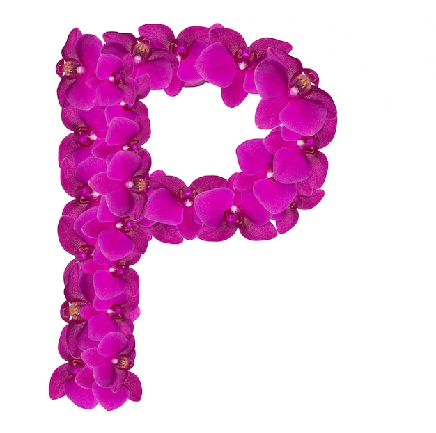 Letter P made of pink flower petals