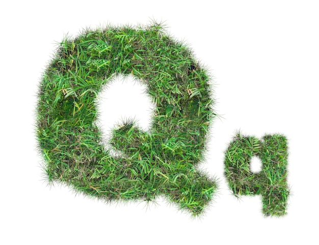 Letter Q on green grass isolated