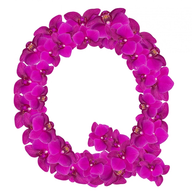 Letter Q made of pink flower petals