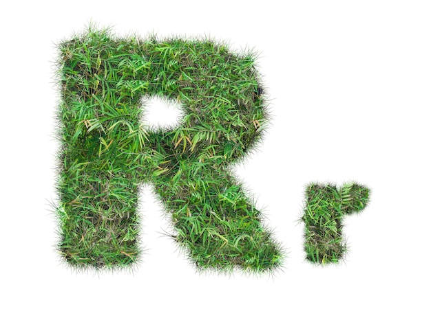 Letter R op groen gras geïsoleerd