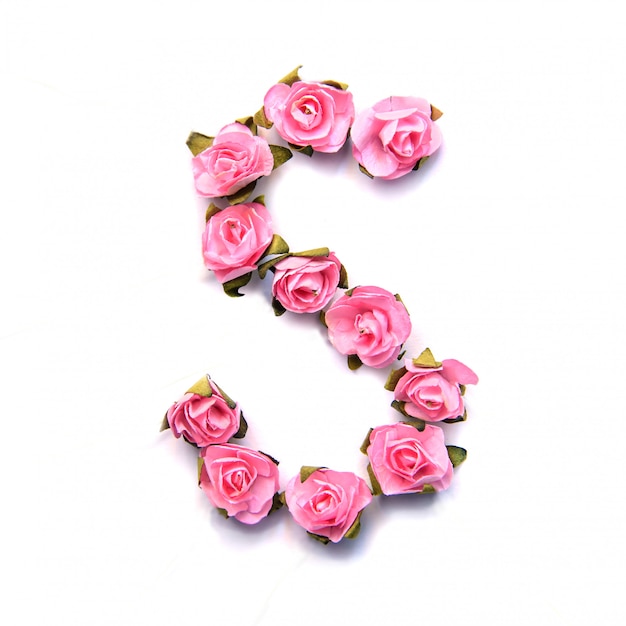 Letter S of English alphabet of pink roses on white surface