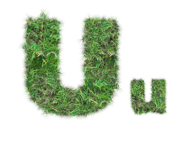 Letter U op groen gras geïsoleerd