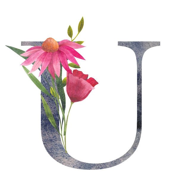 Letter U with watercolor wildflowers Floral alphabet isolated with botanical bouquet monogram initials perfectly for wedding invitation birthday greeting card and other design