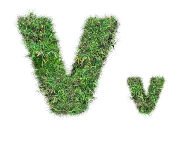 Letter V op groen gras geïsoleerd