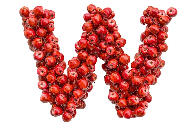 Letter W from red apples 3D rendering