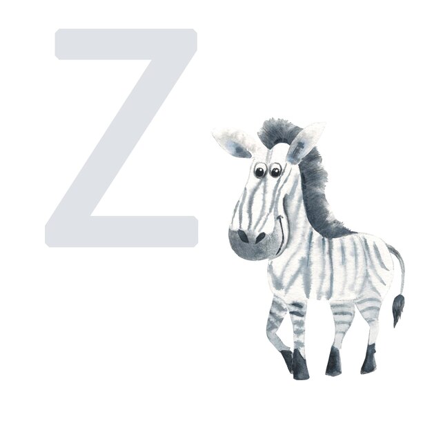 Letter z zebra cute kids animal abc alphabet watercolor illustration isolated on white background