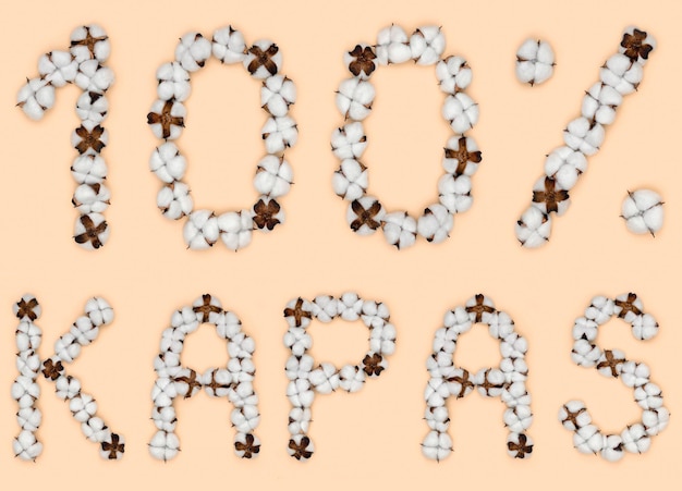 Lettering 100 kapas from Indonesian language means cotton made of cotton flowers Concept organic