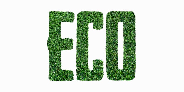 Foto scritta eco texture erba verde isolata su sfondo bianco parola eco concep ecofriendl