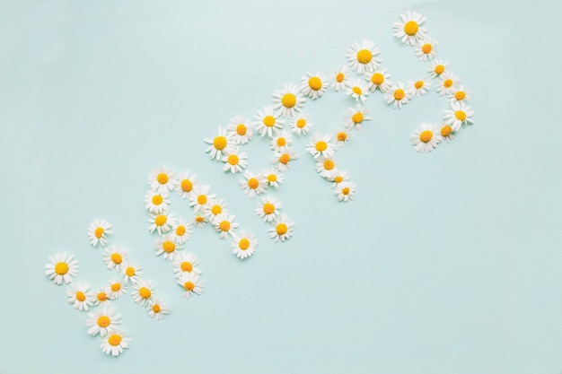 Lettering Happy made by flowers on a blue background