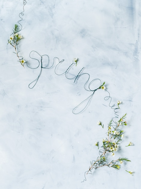 Lettering spring with white flowers on grey background