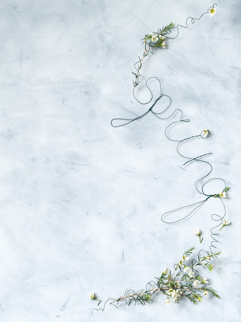 Photo lettering spring with white flowers on grey background