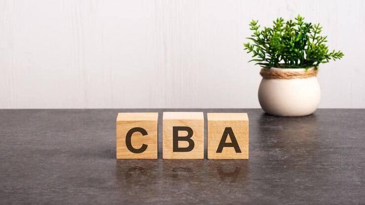 Letters of the alphabet of cba on wooden cubes green plant on a white background cba  short for cost benefit analysis