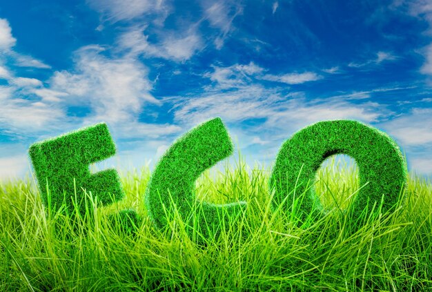 Letters on the green grass on blue sky background. eco concept