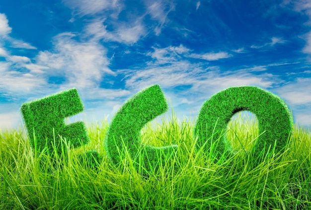 Foto letters op het groene gras op blauwe hemelachtergrond. eco-concept.