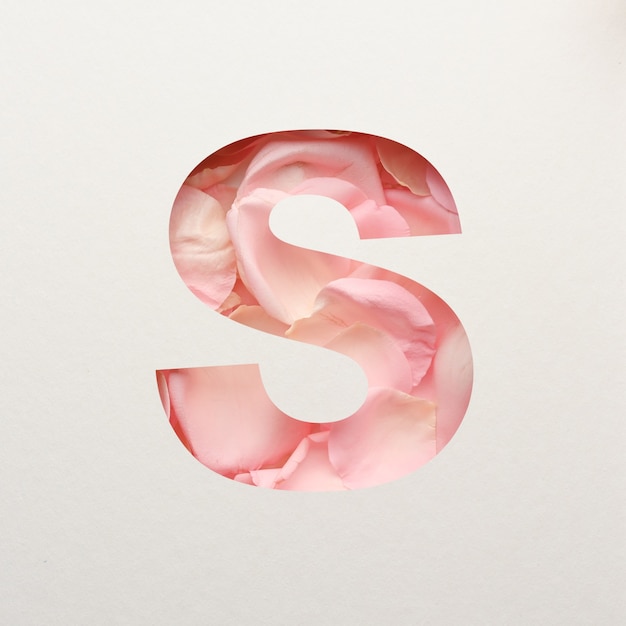 Lettertypeontwerp, abstract alfabet lettertype met roze rozenblaadjes, realistische bloemtypografie - S.