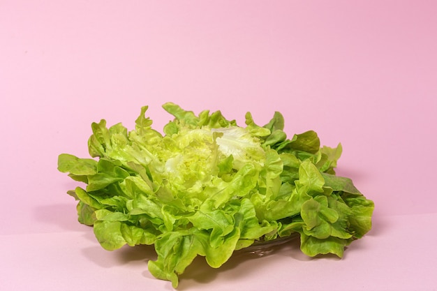 Lettuce assortment background on colorful background. Vegan food concept