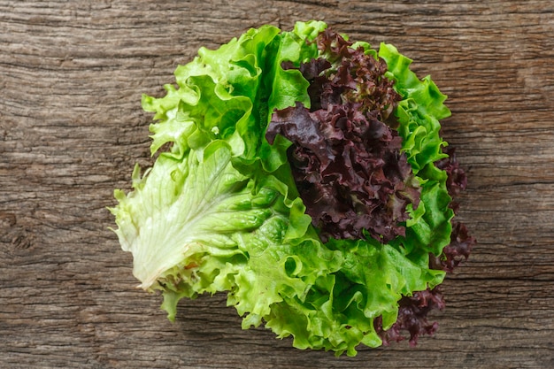 Lettuce on background