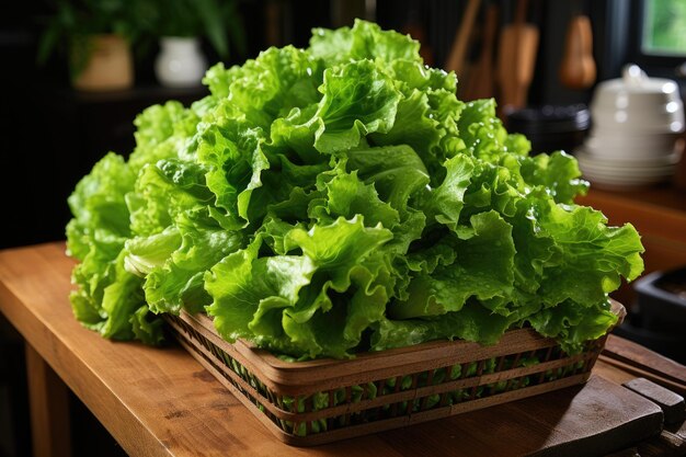 Lettuce in the indoor studio ready to be cooked professional advertising food photography