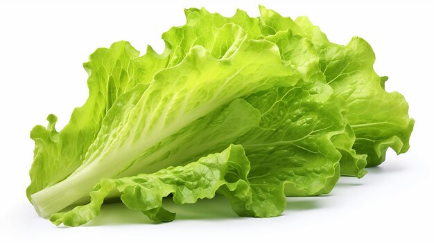 lettuce is a healthy diet for people