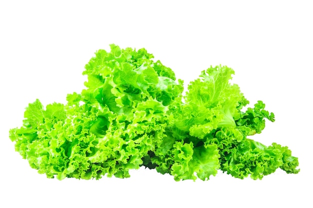 Lettuce on isolated background Clipping path