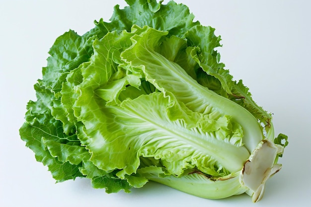 Photo lettuce isolated on a white background closeup