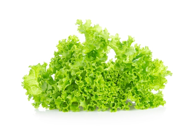 Lettuce isolated on white background. Salad leaf.