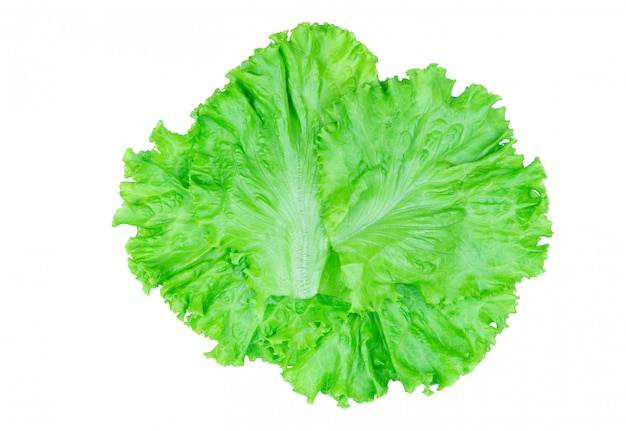 Lettuce isolated on white background