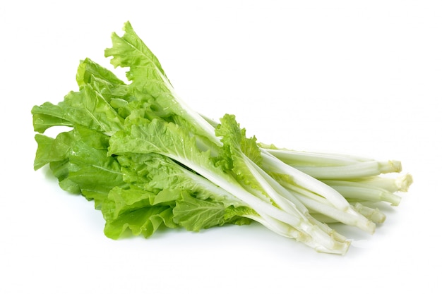 Lettuce  isolated on white space