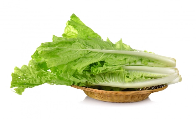 lettuce leaves in the basket isolated