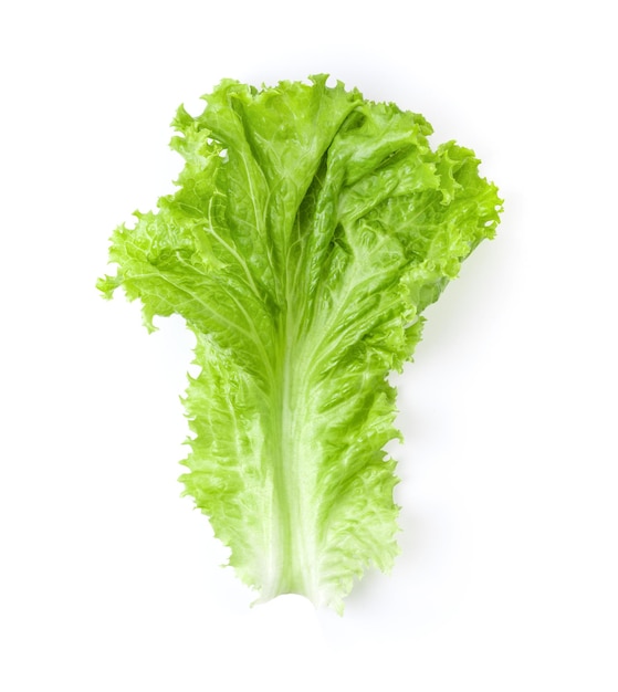 Lettuce leaves isolated on white background Top view