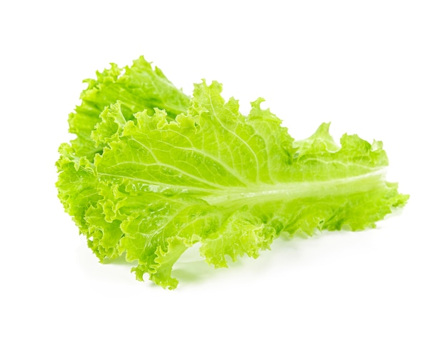 Lettuce leaves isolated on white background.