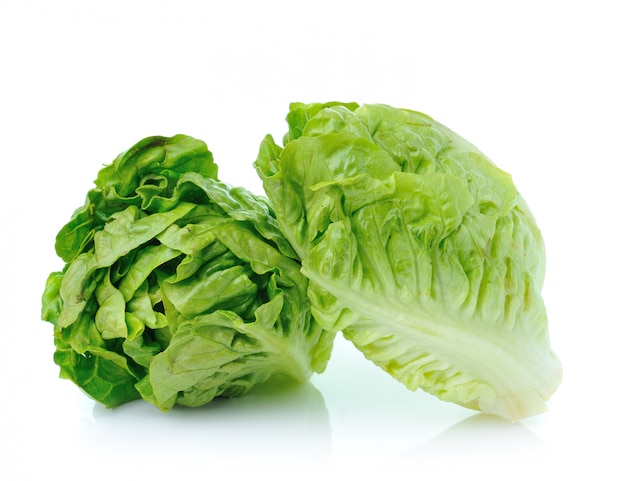 Lettuce leaves isolated on White