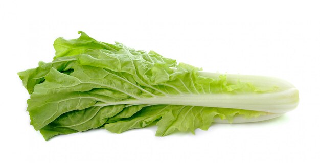 Lettuce leaves isolated on white 