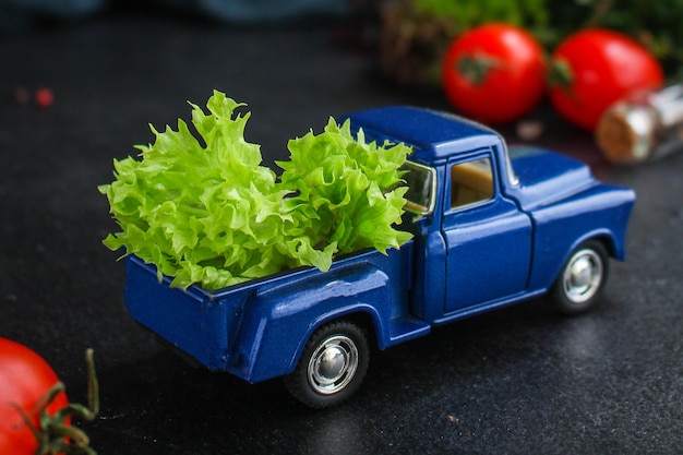 lettuce leaves, tomatoes, vegetables healthy salad