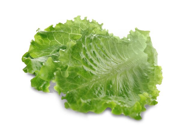 Lettuce leaves on white background